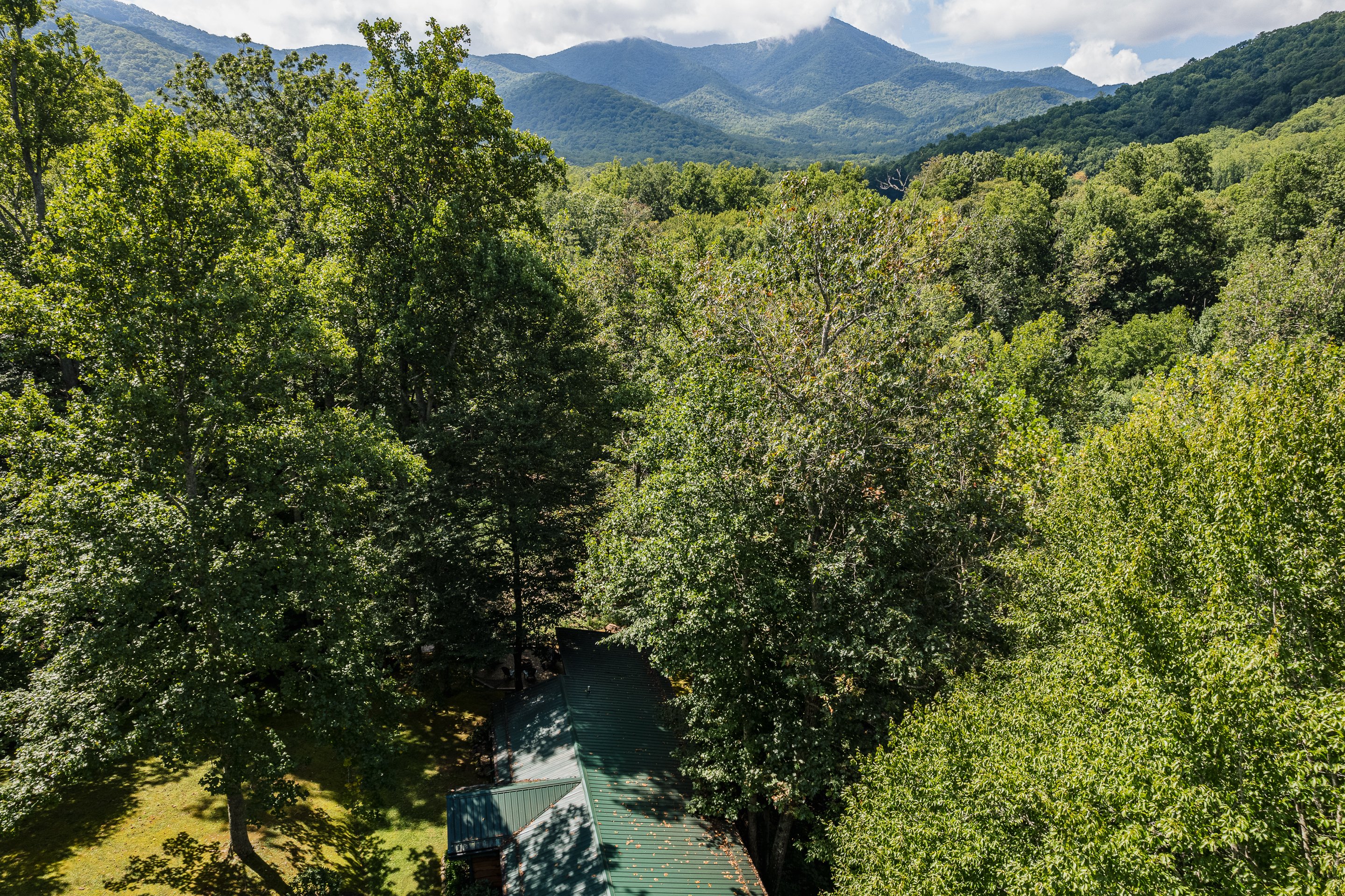 Blue Ridge Mountains panorama from the property